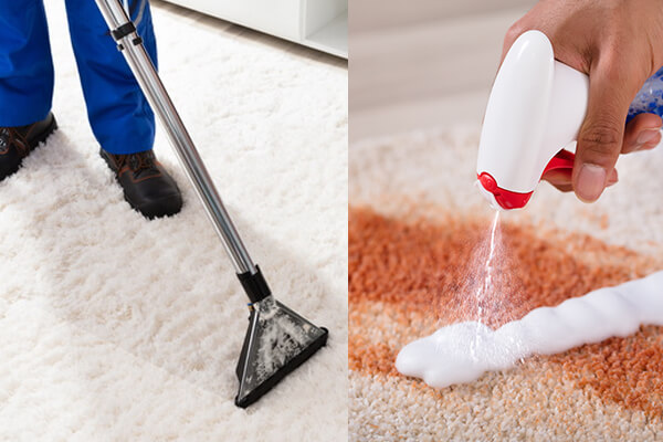 Carpet Cleaning Deep San Elizario TX