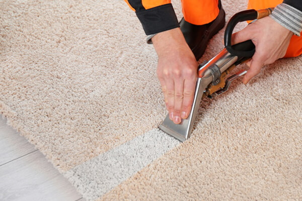 Fast Carpet Cleaning Sierra Blanca TX