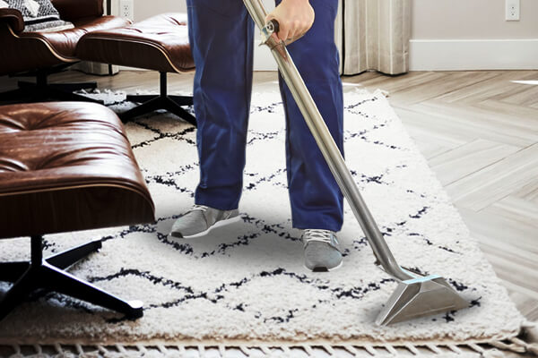 Oriental and Fine Area Rug Cleaning in Fabens TX